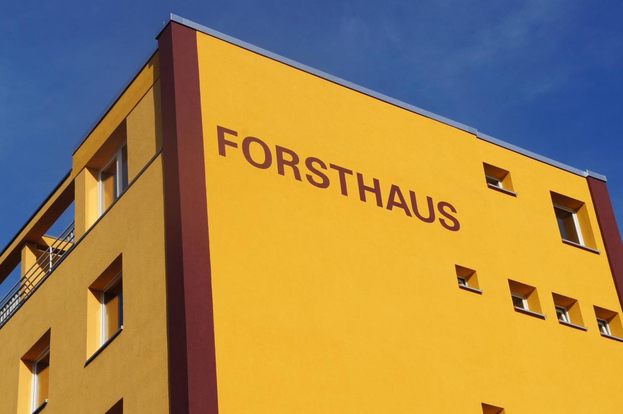Forsthaus Appartements براونشفايغ المظهر الخارجي الصورة
